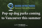 Pop-up dog parks coming to Vancouver this summer