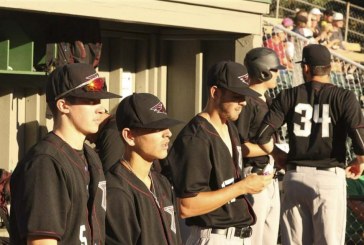 Road trip: Raptors making friends, making memories