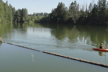 Clark County Public Health issues blue-green algae advisories for Lacamas and Round lakes