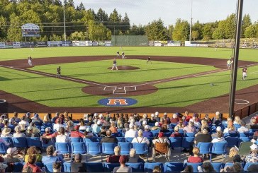 Getting to know the Raptors