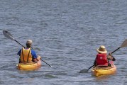Clark County Public Health issues warnings for Vancouver, Round lakes due to elevated toxin levels