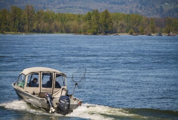 Washington’s 2019-2020 fishing regulations now available