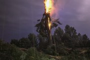 VIDEO: Lightning bolt destroys tree near La Center