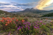 Pacific Northwest Day Trips: Mt. St. Helens