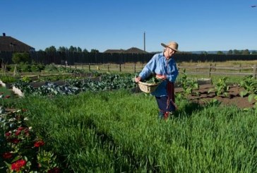 Garden Anniversary Party will honor 103 years of the National Park Service