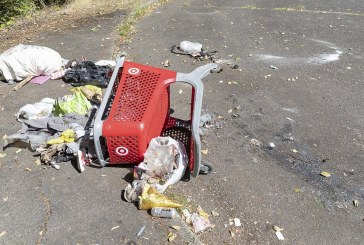 A walk in the woods: One neighbor’s quest to clean up Arnold Park