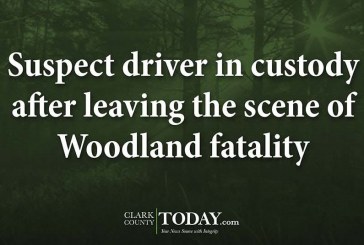 Suspect driver in custody after leaving the scene of Woodland fatality