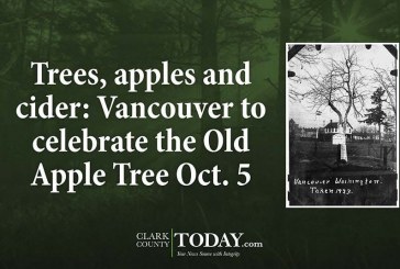 Trees, apples and cider: Vancouver to celebrate the Old Apple Tree Oct. 5