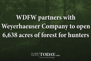 WDFW partners with Weyerhaeuser Company to open 6,638 acres of forest for hunters