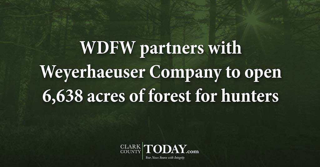 WDFW partners with Weyerhaeuser Company to open 6,638 acres of forest