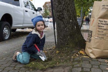 Vancouver volunteers to make a big difference on nation’s largest day of service