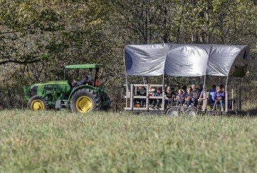 Heart of the Harvest: Pomeroy Farm’s Pumpkin Lane