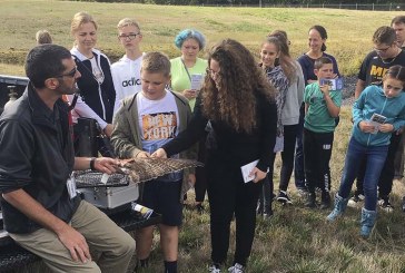 River HomeLink students take on the challenge of bird strikes