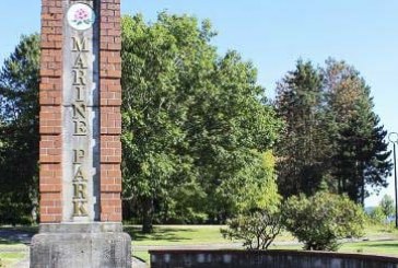 New Winter hours established for community park gazebos and shelters