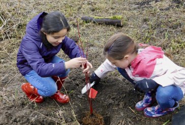 Ridgefield students first to cross new Wildlife Refuge Bridge for tree planting project