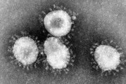 PeaceHealth Southwest ready for possible coronavirus cases
