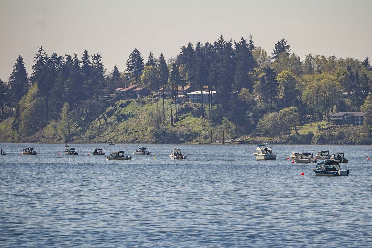 The 2020 summer Chinook fishery will feature an 80 percent and 20 percent split for the recreational and commercial fisheries, respectively. No gillnets will be permitted on the mainstem for the summer Chinook fishery. Photo by Mike Sch
