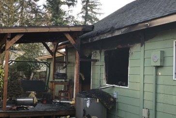 Vancouver firefighters save family dog from burning house