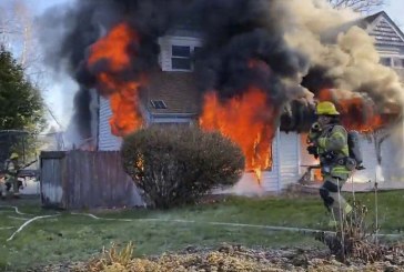 Five pets die in Salmon Creek fire