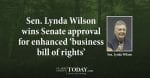 Sen. Lynda Wilson earned Senate approval Wednesday for her enhanced “business bill of rights.’’
