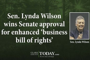 Sen. Lynda Wilson wins Senate approval for enhanced ‘business bill of rights’