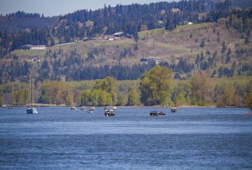 Salmon forecasts released as salmon season-setting process gets underway for 2020