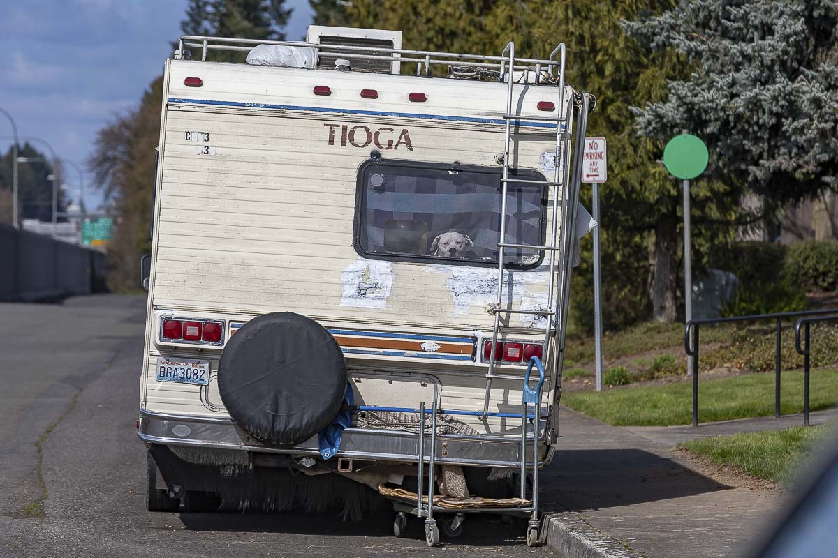 A dog looks out from the back window of an RV parked behind the Albertsons in Salmon Creek. Photo by Mike Schultz