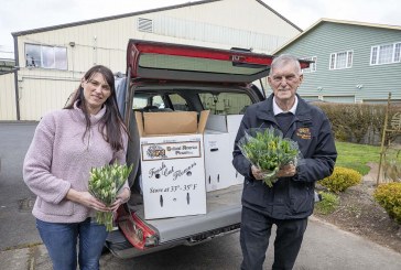 ‘Say it with flowers’ — Woodland bulb farm donates thousands of flowers to hospitals