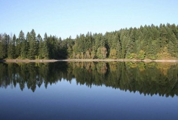 Public Health issues blue-green algae advisory for Lacamas, Round lakes