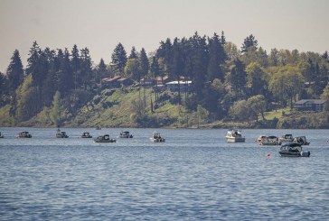 Washington's salmon seasons tentatively set for 2020-21