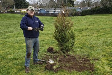 Vancouver honors its volunteers with tree planting