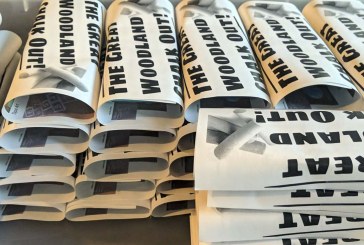 Woodland students invited to show off their artistic skill and creativity during the Great Woodland Chalk Out