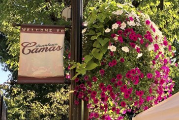 Adopt a flower basket and add color and charm to downtown Camas at a crucial time