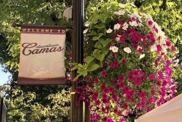 Adopt a flower basket and add color and charm to downtown Camas at a crucial time