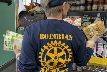 Rotary Club of Three Creeks gives 79 hours in ‘virtual service project’