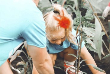 Battle Ground’s annual Park Appreciation Day to move forward with adaptation