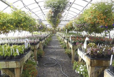 Annual plant sales underway at Battle Ground and Woodland schools