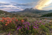 Eyewitness to history: Clark County Today staffers share Mt. St. Helens memories