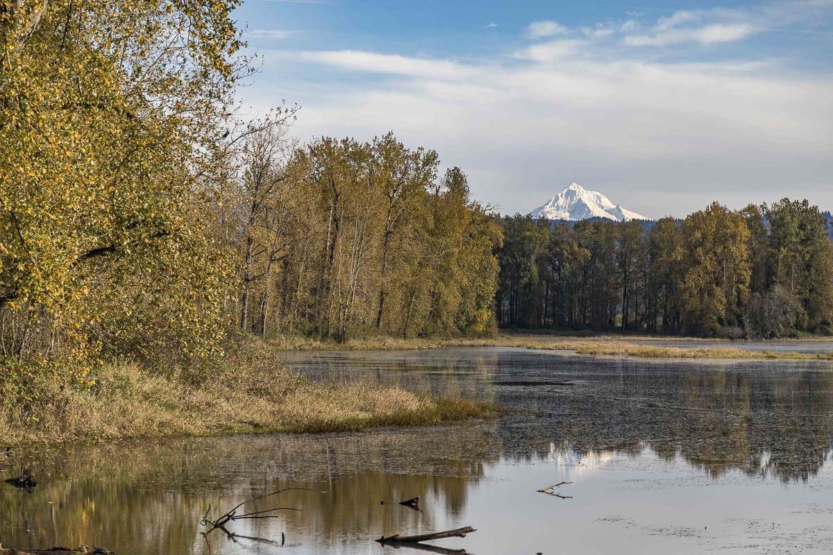 Construction begins at Steigerwald Lake National Wildlife Refuge on June 1. Photo by Mike Schultz