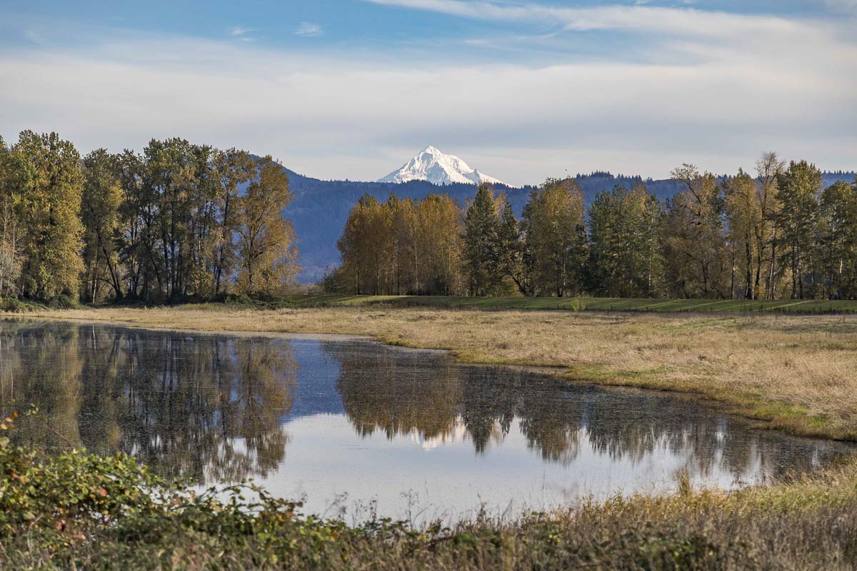 The multi-year Steigerwald Reconnection Project will reconfigure the existing Columbia River levee system to reduce flood risk, reconnect 965 acres of Columbia River floodplain, and increase recreation opportunities at the Steigerwald Lake National Wildlife Refuge. Photo by Mike Schultz