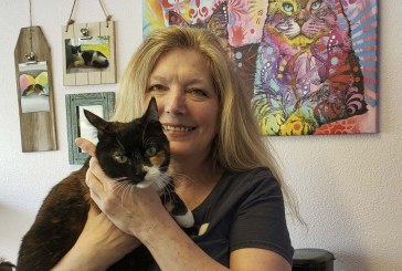 Calming cat lady comes through for cat community