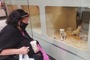 Vancouver Mall says ‘hi’ as it reopens