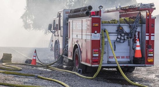 Photo by Mike Schultz