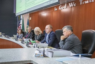 County Council discusses request from area organizations for listening session on systemic racism