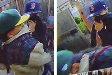 Vancouver Police seek public’s health to identify assault and robbery suspects