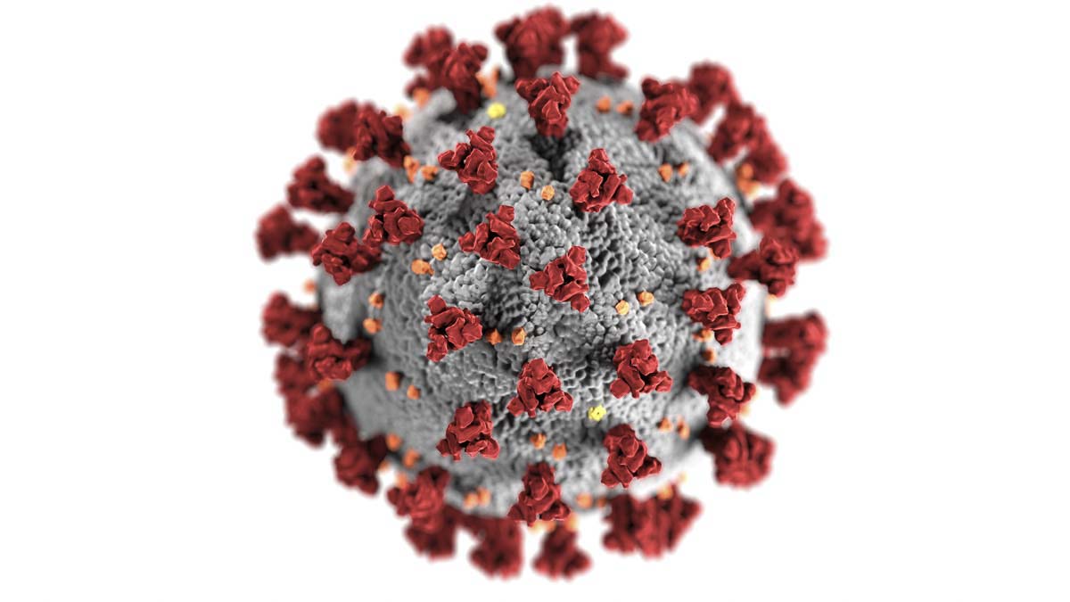A computer model of the SARS-CoV-2 virus, which causes COVID-19. Image courtesy Centers for Disease Control