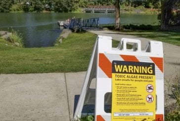 Area residents warned against ignoring warnings about water toxicity at Lacamas, Round lakes