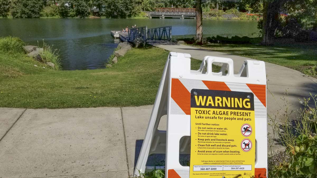 Clark County Public Health officials are warning area residents against swimming or recreating at Lacamas Lake (shown here) or Round Lake. Photo courtesy of John Ley
