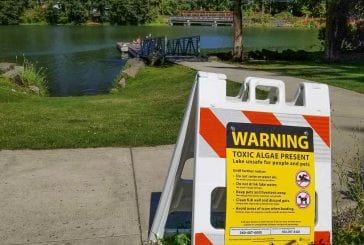 Clark County Public Health issues another warning on Lacamas Lake water quality