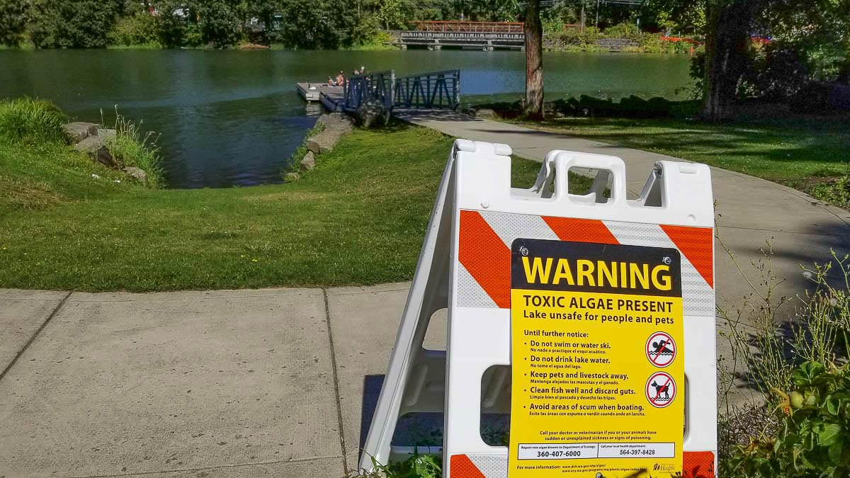 Clark County Public Health officials are once again warning area residents against swimming or recreating at Lacamas Lake (shown here) or Round Lake. Photo courtesy of John Ley